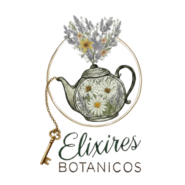 logo transp último